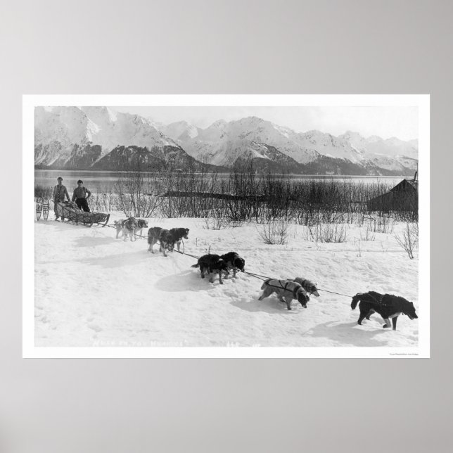 Affiche Équipe de chiens Husky Alaska 1918 (Devant)