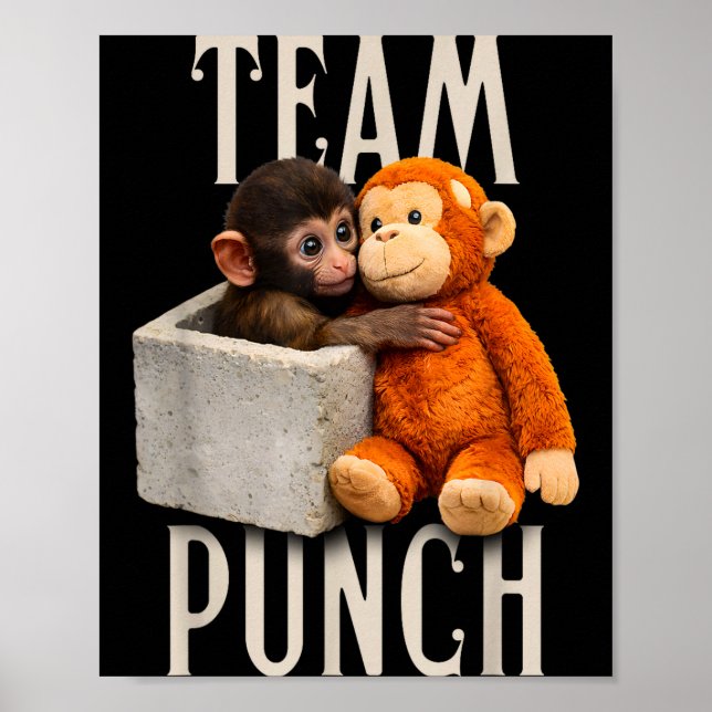 Affiche Équipe de coup de poing de bébé singe  (Devant)