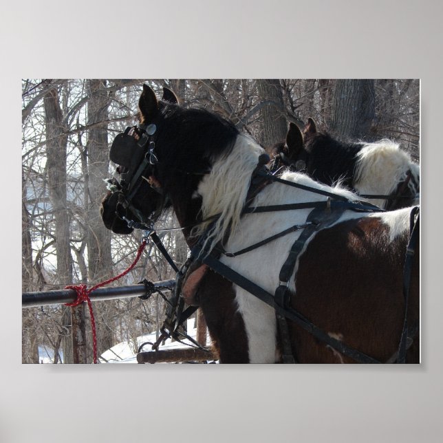 Affiche Équipe de projet Pinto (Devant)