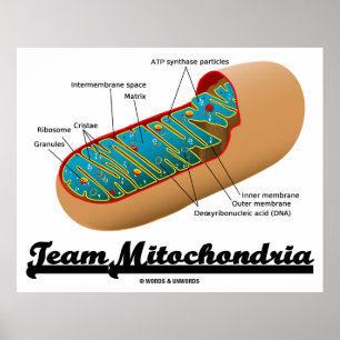 Affiche Équipe Mitochondria (Humour Mitochondrion)