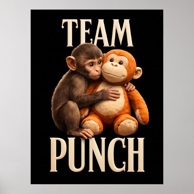 Affiche Équipe Punch Baby Monkey Punch Fun Fight (Devant)