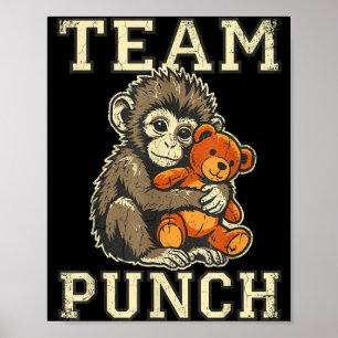 Affiche Équipe qui frappe bébé singe et jouet en peluche m