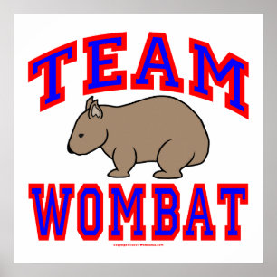 Affiche Équipe Wombat VI