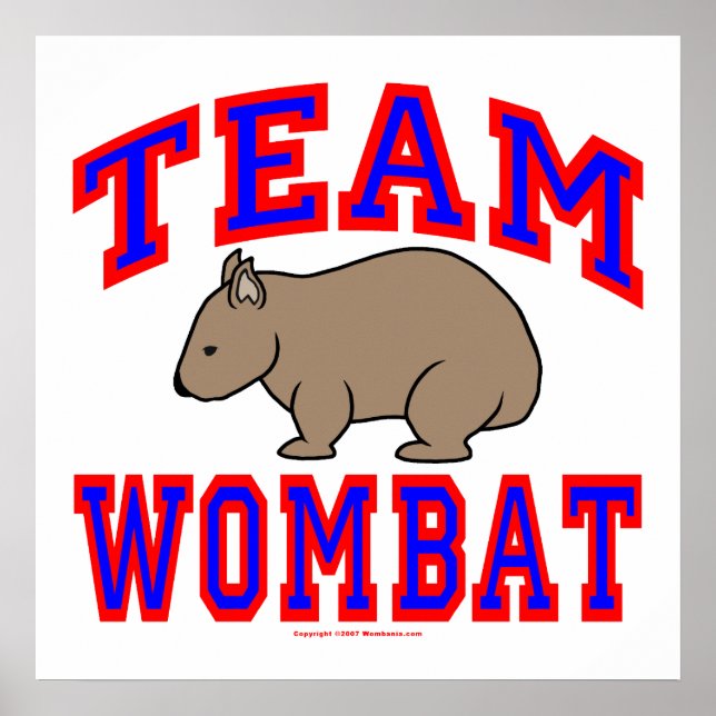 Affiche Équipe Wombat VI (Devant)