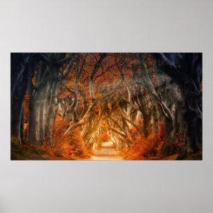 Affiche Érable d'automne forêt automne bois feuillage