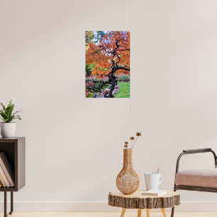 Affiche Érable Japonais à Feuilles Laceleaf Botanique d'Au