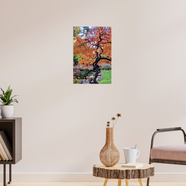 Affiche Érable Japonais à Feuilles Laceleaf Botanique d'Au (Salon 3)