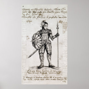 Affiche Eric le Rouge