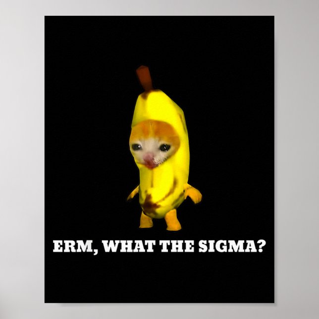 Affiche Erm, Quel Sigma_ Mème de Chat Hommes Femmes Filles (Devant)