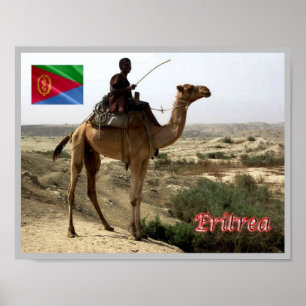 Affiche Érythrée - Camel -