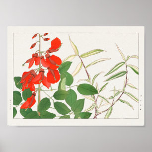 Affiche Erythrina, Panicum par Tanigami Konan