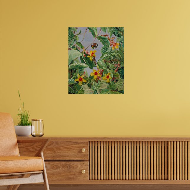 Affiche Escalade brésilienne arbustes et oiseaux de mer (Salon 2)