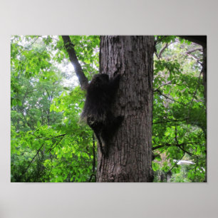 Affiche Escalade élevée