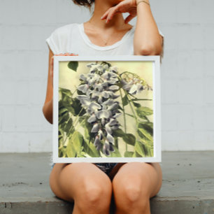 Affiche Escalade Windblown Wisteria Vine peinture acryliqu