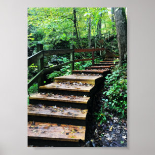 Affiche escalier du parc d'état des grottes maquoketa