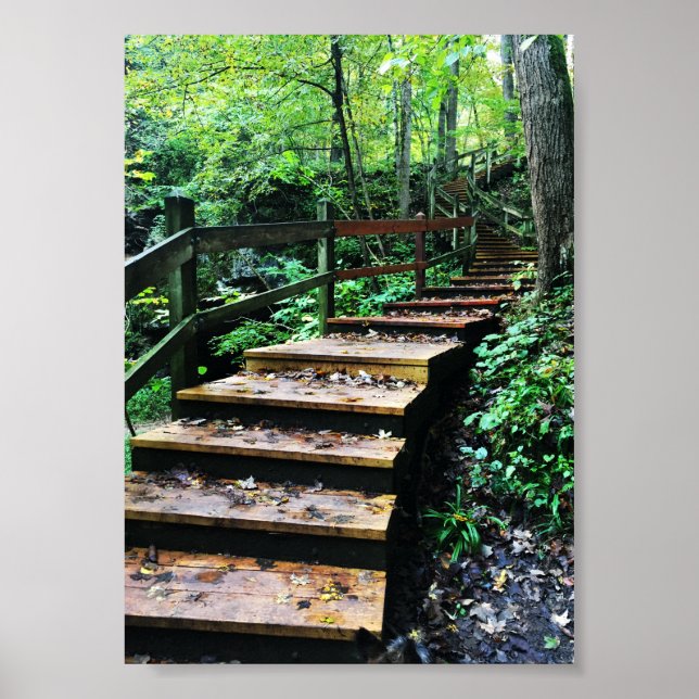 Affiche escalier du parc d'état des grottes maquoketa (Devant)