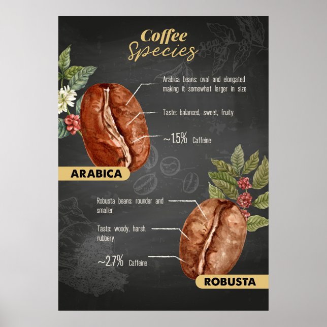 Affiche Espèces de café Lover Coffee (Devant)