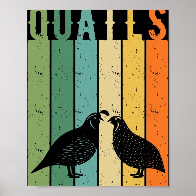 Affiche Espèces de cailles oiseaux éleveur de cailles orne (Devant)