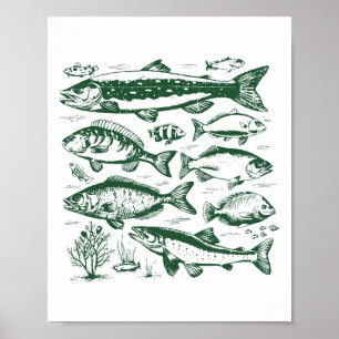 Affiche Espèces de poissons rétro Biologie Types de poisso