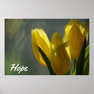 Affiche Espoir - Fleurs de tulipes jaunes