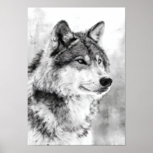 Affiche Esprit de la nature - Loup gris, croquis d'art fin