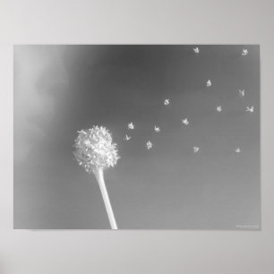 Affiche Esprit du vent