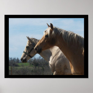 Affiche Esprit libre, l'affiche de l'amant de cheval -