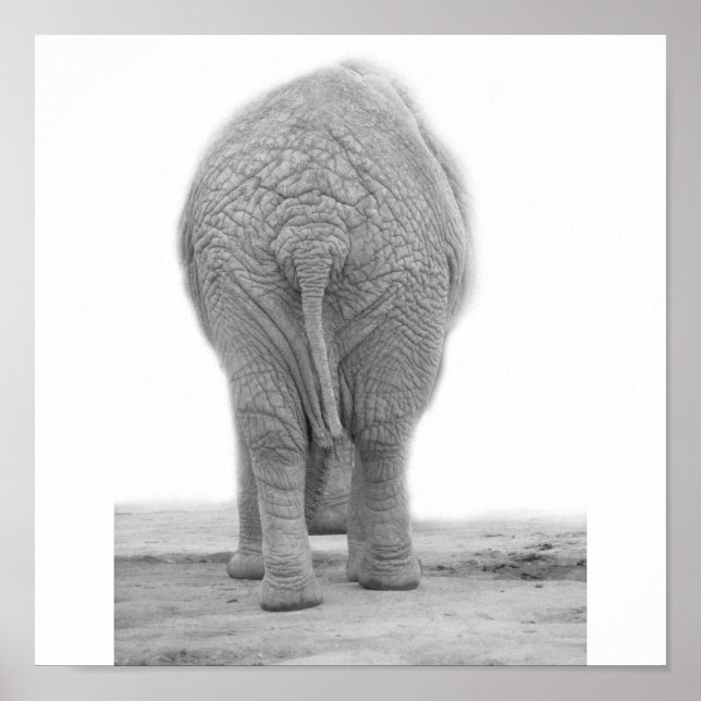 Affiche Est-ce que mon cul a l'air grand (Devant)