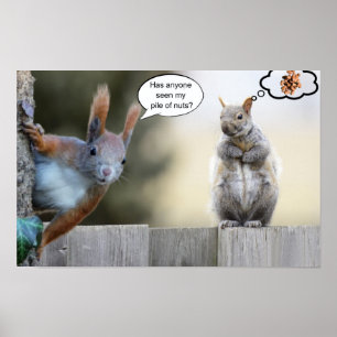 Affiche Est-ce que quelqu'un a vu mes noix?