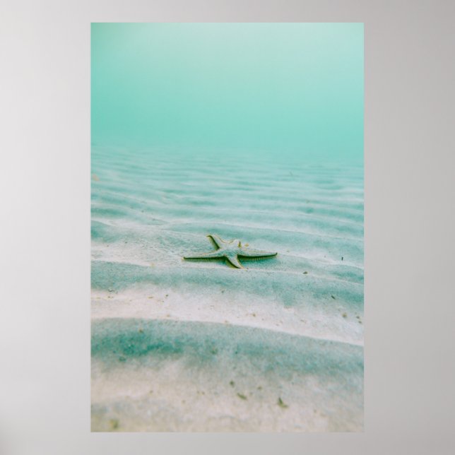 Affiche Estarfish blanche sur sable sous l'eau le matin (Devant)