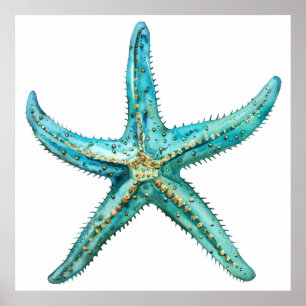 Affiche Estarfish turquoise