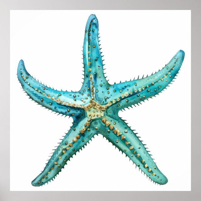 Affiche Estarfish turquoise (Devant)