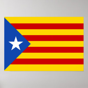 Affiche Estelada