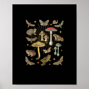 Affiche Esthétique Cottagecore Champignon Grenouille Papil