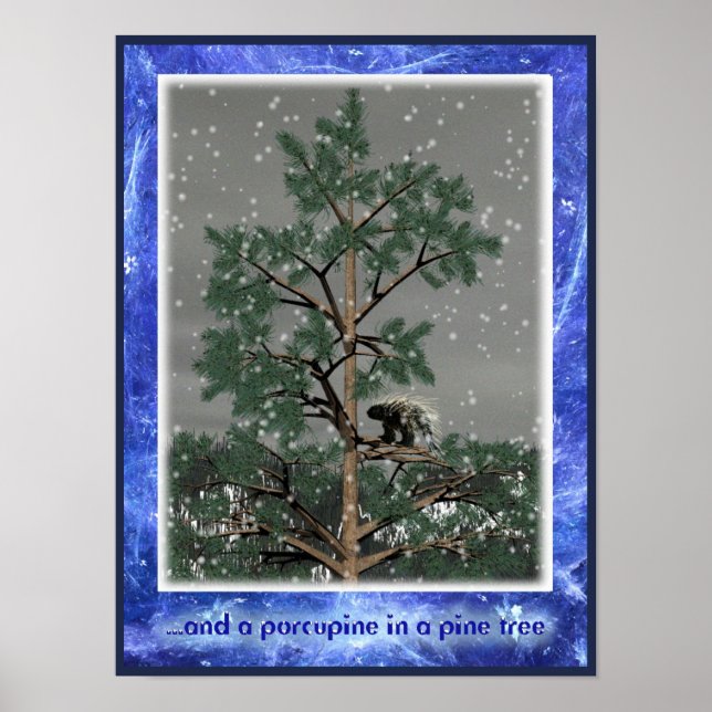 Affiche Et Une Porcupine Dans Un Pin Tree (Devant)