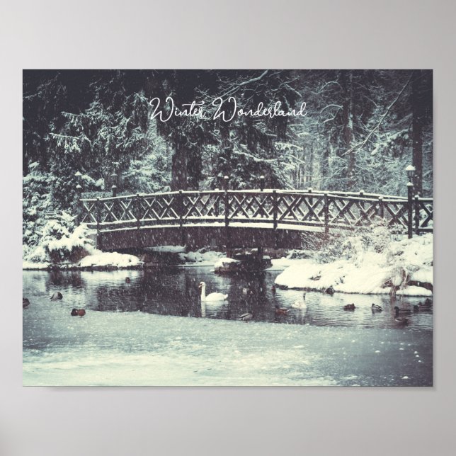 Affiche Étang d'hiver (Devant)