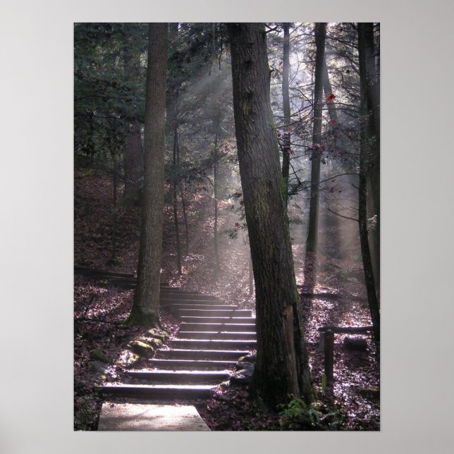 Affiche Étapes vers les Lumières (Devant)