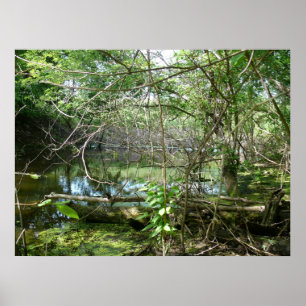 Affiche État de confusion