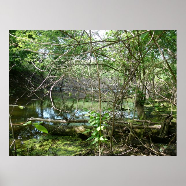 Affiche État de confusion (Devant)