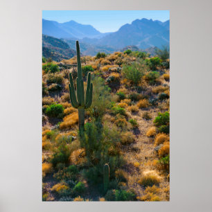 Affiche États-Unis, Arizona. Desert View