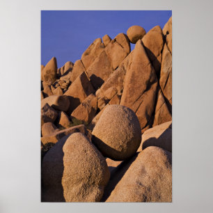 Affiche États-Unis, Californie, Parc national de Joshua Tr