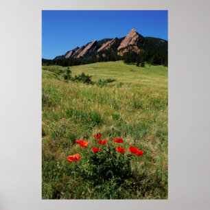 Affiche États-Unis, Colorado, Boulder. Flatirons et pavots