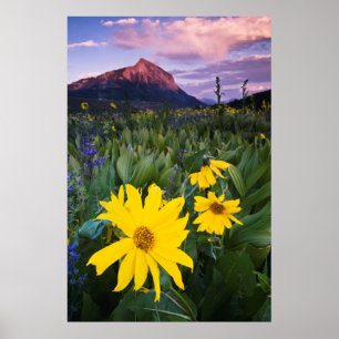 Affiche États-Unis, Colorado, Mt. Crested Butte