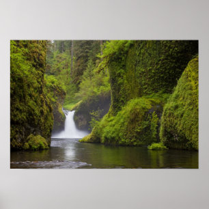 Affiche États-Unis, Eagle Creek, Columbia Gorge, Oregon. 3