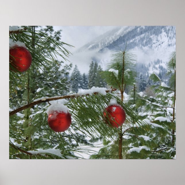 Affiche États-Unis, État de Washington, comté de Chelan (Devant)