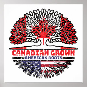 Affiche États-Unis États-Unis États-Unis Canada Arbre cana