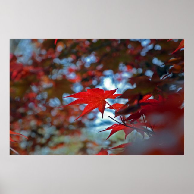 Affiche États-Unis, Kansas. Couleurs d'automne (Devant)