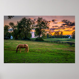 Affiche États-Unis, Lexington, Kentucky. Cheval solitaire