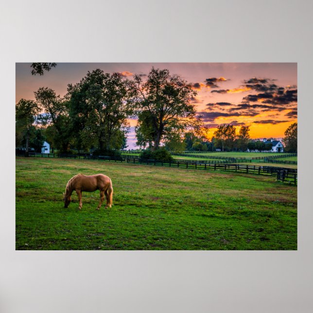 Affiche États-Unis, Lexington, Kentucky. Cheval solitaire  (Devant)