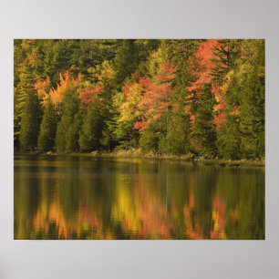 Affiche États-Unis; Maine; Acadia NP. Reflets automnaux à
